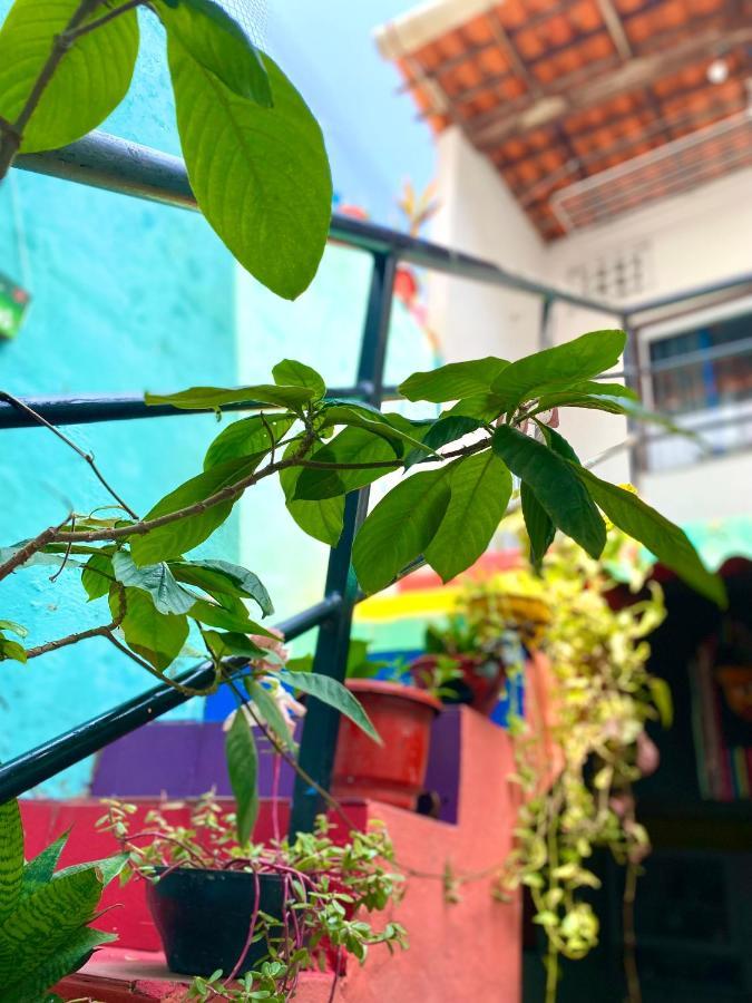 Casa Guarnice Hostel São Luís Exteriör bild